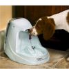 PetSafe Platinum Pet Fountain - PWW00-13703