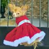Holiday Dog Harness Dress